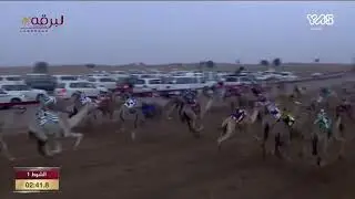 ش1 سباق الحقايق (للقبائل) مهرجان سمو الشيخ محمد بن زايد آل نهيان -صباح 26-12-2021