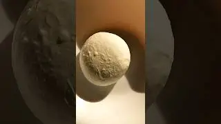 mozarella