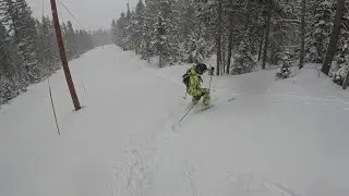 Sweet skiing in a March storm.