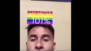 Shitpost Status Compilation