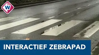 Interactieve zebrapaden moeten oversteken veiliger maken - OMROEP WEST