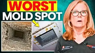 The #1 Place Mold Hides in Your Home