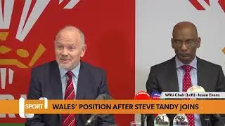 Steve Tandy handed Wales job with mandate to rebuild and inspire
