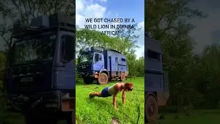 M&oacute;j mąż krzyknął &bdquo;TU JEST LEW&rdquo;