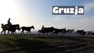 GoPro | Gruzja Kachetia | Sped stada koni | Horseback riding