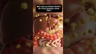 🍞O que acontece dentro de voc&ecirc; quando come P&atilde;o?
