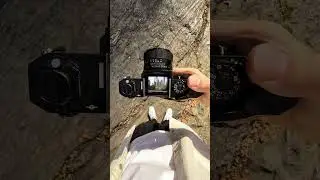 📸 NEW YORK CITY: 35mm Film Photography with Canon F1 + Fujicolor C200 in Central Park, Manhattan, NY