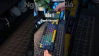 B&agrave;n Ph&iacute;m Cơ Atas K98 , Gi&aacute; Chưa Tới 800 c&agrave;nh #clvstudio #keyboard #desksetup #unboxing #decor