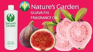Guava Fig Fragrance Oil- Natures Garden