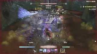 Old school ESO DPS test Slimecraw