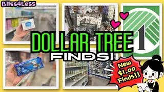 🛒 MEGA BLISS on a BUDGET! &ndash; NEW DOLLAR TREE HUNT | Bliss 4 Less 💖