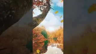 #Animated #Autumn #Forest #Beautiful #Nature #Scene #Adventure  