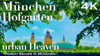 【Munich Germany Hofgarden】urban Relaxation: Munich's Hidden Paradise!【4K】