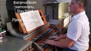 DJEVICE NEVINA, Slavonski Brod, Franjevačka crkva