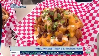 Check out Wild Waves Theme and Water Park with the kids!