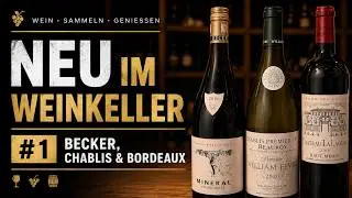 Chardonnay aus der Pfalz und Chablis sowie Haut Medoc