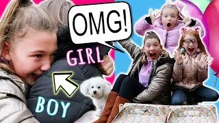 OUR SPECIAL SURPRISE BABY GENDER REVEAL! - EMOTIONAL!