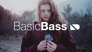 Liquithority - Bushtucker Bounce