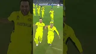 That #CWC23 winning feeling 🤩🇦🇺 #YTShorts #CricketShorts