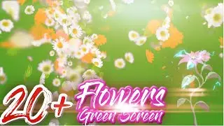 Flowers Green Screen (20+ Effects in 4K / Free Download Link)