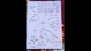 BIOLOGY MIND MAP FOR NEET PREPARATION|| PLANT KINGDOM MIND MAP #neet #shorts #viral #biology