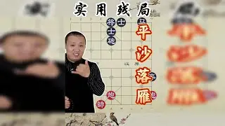 这才是双炮的正确用法