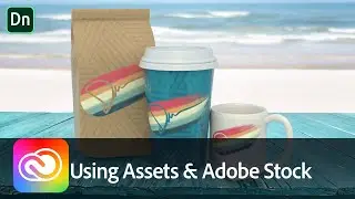 Using Assets and 3D Stock in Dimension | Adobe Creative Cloud