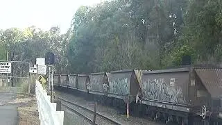 loaded coal train Spring Bluff