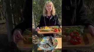 Winter Birdbath Alternative #birds #wildlife #winter #winterproject #outdoorproducts #diy #health