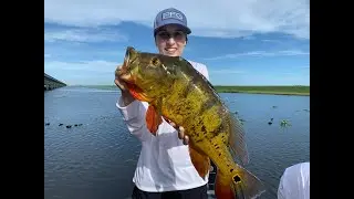 Catching a TROPHY Peacock Bass in the Everglades!
