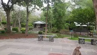 Nallamala jungle camp bairluty #RAVIKANDULA