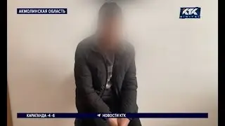 Уже 45 жертв: серийную мошенницу из Макинска поместили в СИЗО