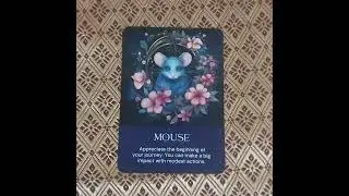 BTS spirit animal guidance EP2. Jin - Message from Mouse #bts #jin #mouse #koreanversion
