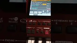 Set Korg pa700 Surubu