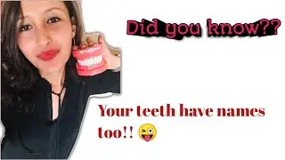 Can you name all the teeth in your mouth??