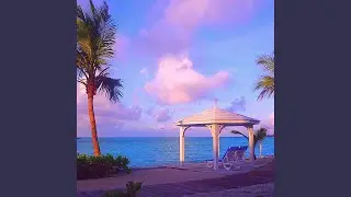 Cultivated Ambience for Relaxing Beach Holidays