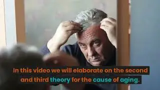 The Programmed Aging theory and 