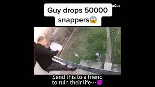 5000 snappers crash on the floor
