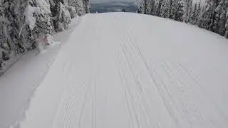 Schweitzer-The Great Divide-12/25/19