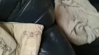 Batcat ep 4 a drop of  clay