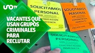 Ofertas de empleo falsas: &iquest;c&oacute;mo identificar vacantes que usan grupos criminales?