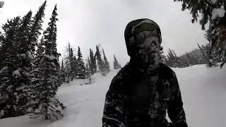Dreaming of that deep BC Powder at Fernie Wilderness Adventures 2019
