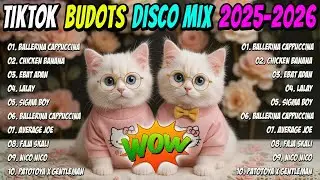NEW TIKTOK DISCO PARTY REMIX 2025 - DJ CAT