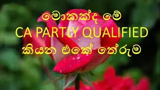 මොකක්ද මේ Partly Qualified කියන එකේ තේරුම