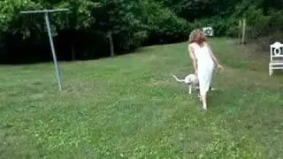 Dominick the Two-legged Dog