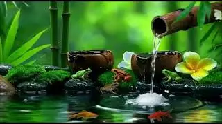 Relaxing Time : Piano Music with beautiful nature, Heal your mind by listening this peaceful music