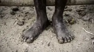 Tierra Bomba
