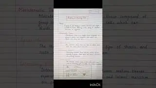 Anatomy of Flowering Plants Notes | Class 11 | Biology | NEET | CBSE | HSC #neet #class11 #neetnotes
