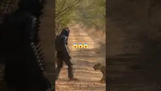 Leopards vs the Spiked Man 😱🦁 | AI Safari Chaos & Protection