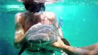 Beautiful Belize